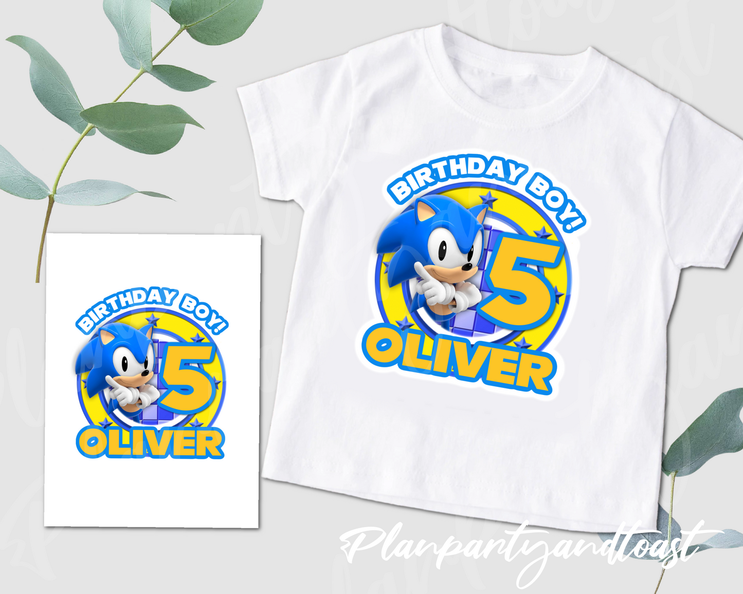 Sonic Birthday T-shirt Digital Iron-On Design